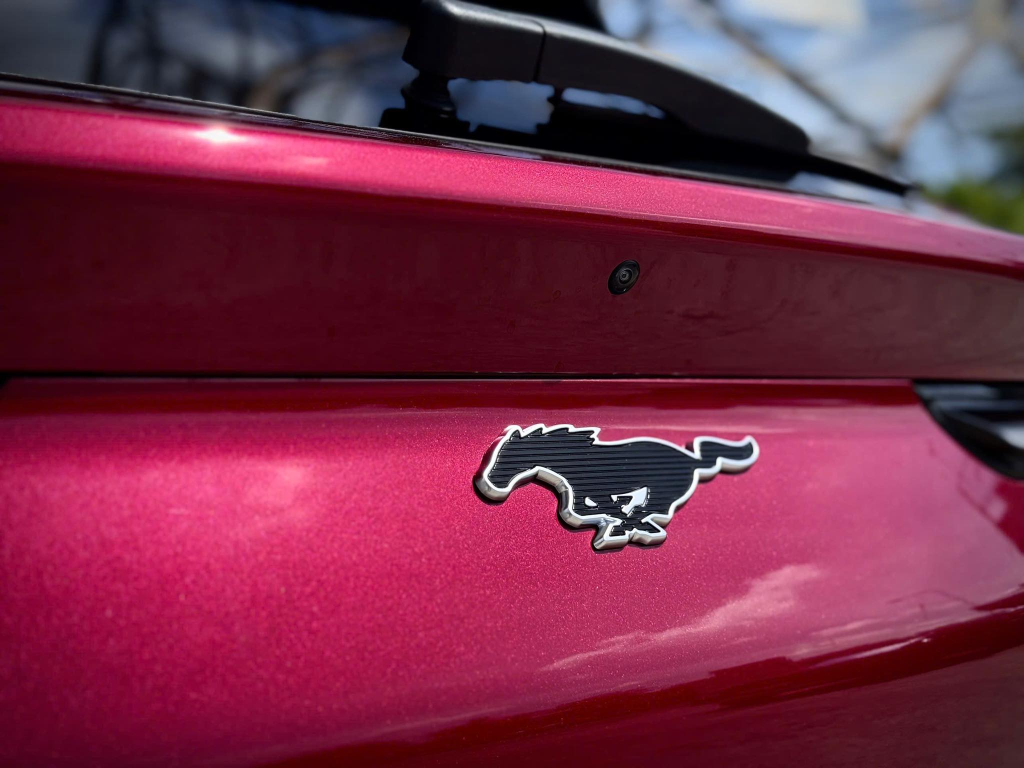 Ford Mustang Mach-E Chính Thức Có Mặt Tại Ford Bảo Lộc 15 Ford Mustang Mach-E Chính Thức Có Mặt Tại Ford Bảo Lộc 549095100 1351690463626800 4001022813967018266 n Ford Mustang Mach-E Chính Thức Có Mặt Tại Ford Bảo Lộc