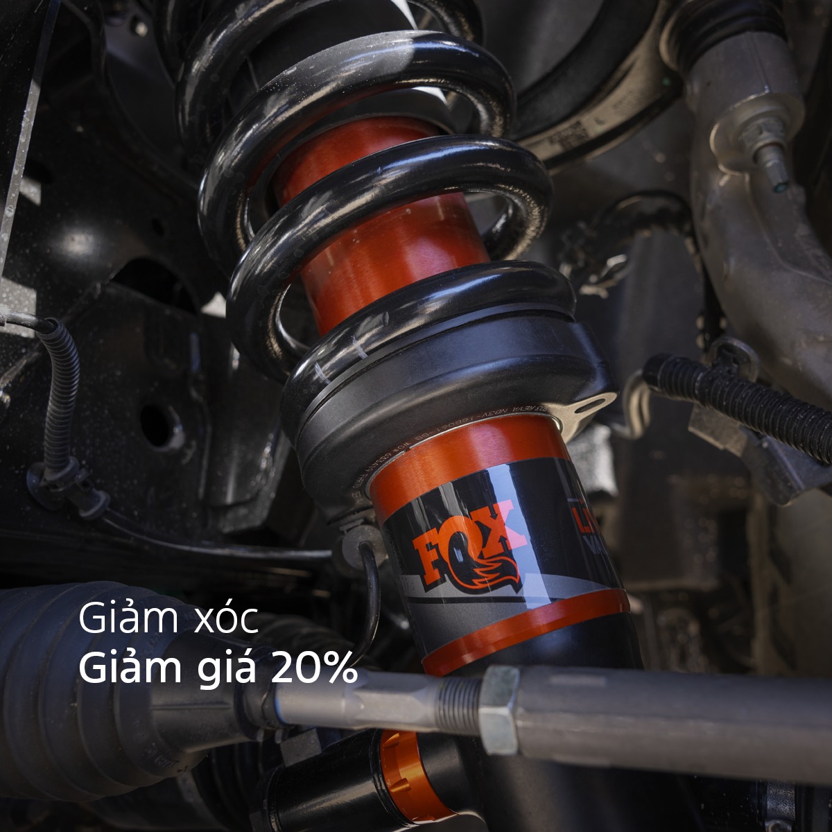 MEGA SERVICE CUỐI NĂM – ƯU ĐÃI LÊN ĐẾN 30%! 15 MEGA SERVICE CUỐI NĂM – ƯU ĐÃI LÊN ĐẾN 30%! 559167145 122138890436908213 7144193561577697666 n MEGA SERVICE CUỐI NĂM – ƯU ĐÃI LÊN ĐẾN 30%!