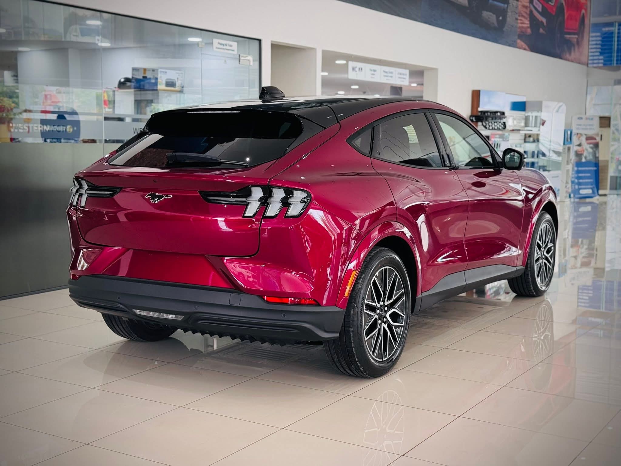 Mustang Mach-E 24 Mustang Mach-E 551172906 24901156086182349 8828504476806051688 n Mustang Mach-E