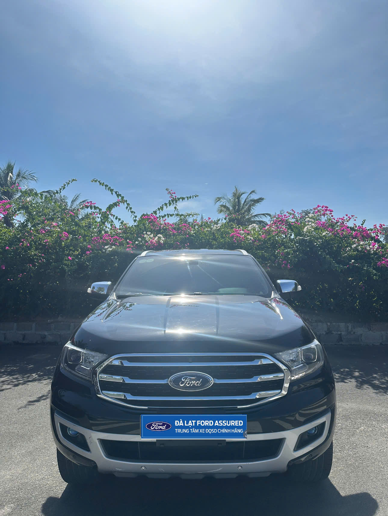 z7379969342018 dfcf499eb7a54514c1f5e9bf7446f709 Everest Titanium 4x2 AT 2020 - Giá 839.000.000 VNĐ