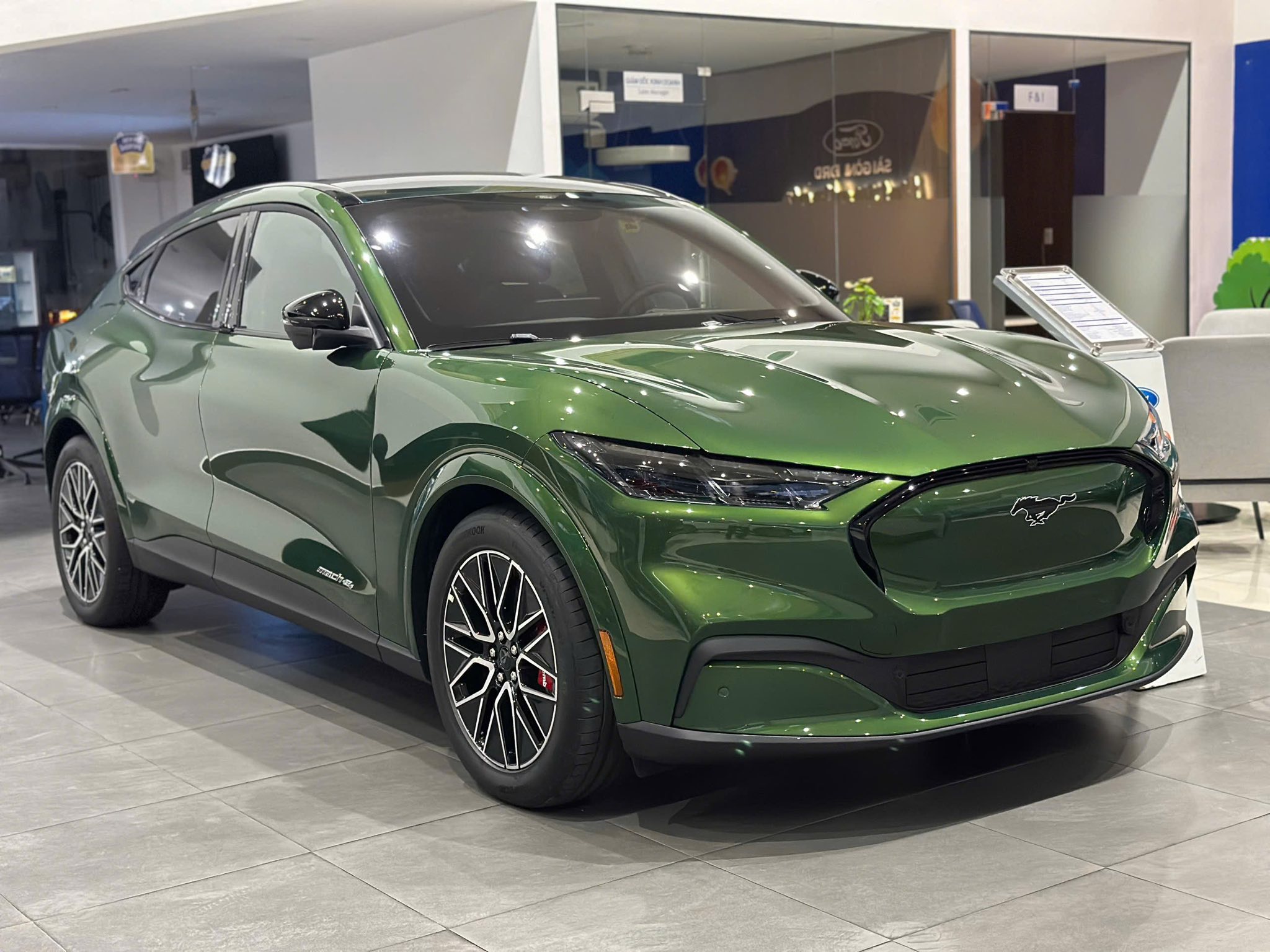 MUSTANG MACH-E Giảm giá kỷ lục, chỉ còn 1 tỷ 699 triệu đồng 14 MUSTANG MACH-E Giảm giá kỷ lục, chỉ còn 1 tỷ 699 triệu đồng 561386035 122193553754325712 6946520995729718533 n MUSTANG MACH-E Giảm giá kỷ lục, chỉ còn 1 tỷ 699 triệu đồng