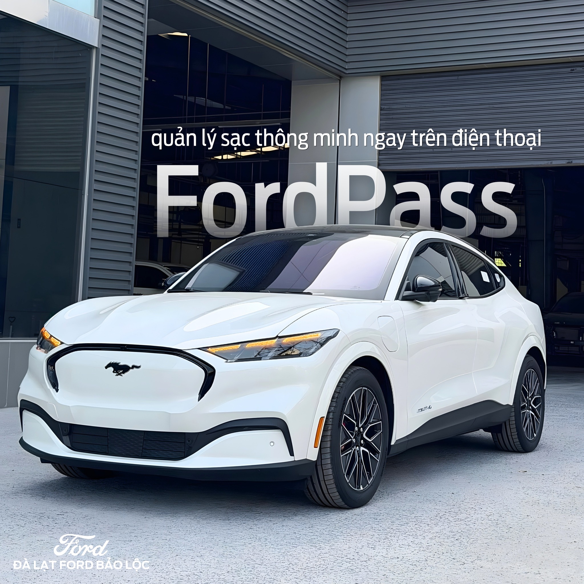 673525096 122172195782908213 4538137753020765749 n Ford Mustang Mach-E – Khi biểu tượng Mustang bước vào kỷ nguyên điện