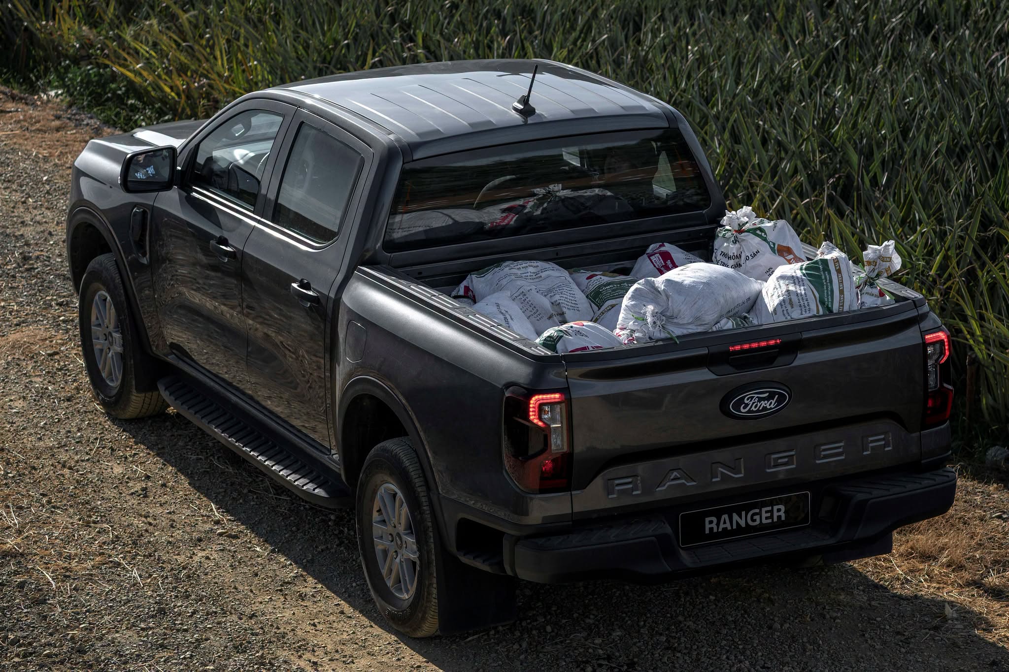 734367509 961559503565910 1372300660397853010 n Ford Ranger XLS Mới Giá đặc biệt chỉ từ 707 TRIỆU ĐỒNG