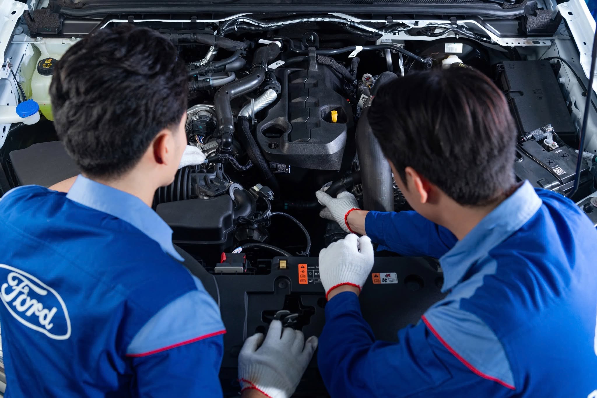 764954046 122191802816908213 2887692986097115712 n Ưu Đãi Dịch Vụ Ford Bảo Lộc: Giảm 25% Lọc & Nước Làm Mát