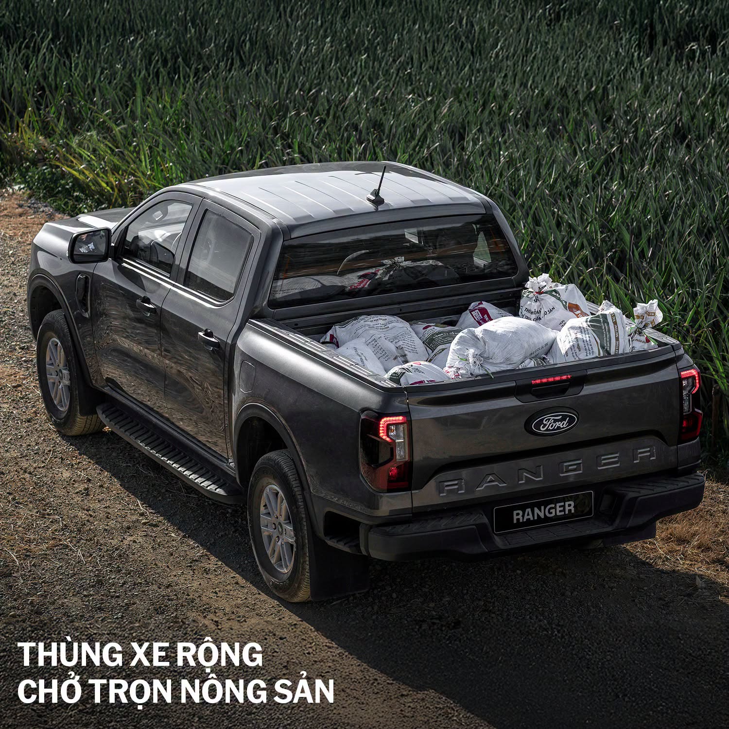 767524458 27874170828910217 2235951213309065689 n Ford Ranger XLS đồng hành bền bỉ cùng bạn trong công việc hàng ngày